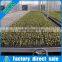 greenhouse nursery gardening wire mesh net galvanized seedling bed