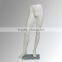2015 new fashion trouser torso mannequin sale