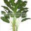 CHY030946 Fake plastic banana tree