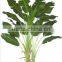 SJ0301112 Artificial decorative foliage tree banana tree products