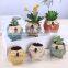 Succulent color owl ceramic mini indoor plants pots