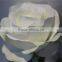 hot sale brand name decorative artificial flowers silk single rose