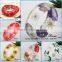 2017 Fashion New Style Clear Real Flower Resin Acrylic Bangles for Women