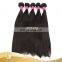 Top Quality 8a Grade Brazilian Wet And Wavy Straight Wave Hair