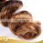 Hight Quality Wholesale unprocessed virgin brazilian hair three tone colors ombre loose wave