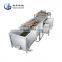 QX-4-800 Air Bubble Ozone Vegetable Washing Machine Fruit Washing Machine for Factory