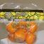 clear LDPE Chinese plastic freezer bag for fruit package with holes