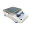 Analytical Balance (1/10000 Up to 500g)