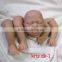lifelike reborn vinyl doll kit custom fairy doll kits for sale