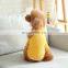 Trendy Outdoor Clothing 2021 Designer Winter High Fashion Dress Pet Winter Vest Dog Wear Clothes
