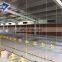 New Design Steel Structure Commercial Chicken House For Closed Chicken House System Botswana
