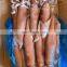 frozen todarodes pacificus squid japan squid