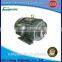 AC hydraulic motor