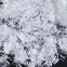 High Quality Wholesale alkali free glass fiber Mortar concrete site Cut glass fiber into shreds