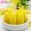 High quality corn flavor soft type corn shaped jelly soft candy