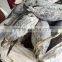 Frozen Long-line Skipjack Tuna Fish