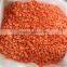 new carrot dices