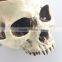 Fancy Home Animal Big Skull Model Multifunctional Flower Pot