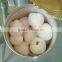 Canned lychee in syrup with good quality