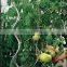 Pvc Coated Tomato Spirals Plant Support