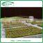 Nutrient Film Hydroponics System Greenhouse