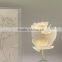 Pure fragrance oil diffuser shaped clear glass jar reed diffuser