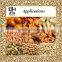 Peanut fryer with high quality nut fryer