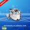 Protable 5 In1 Criolipolisis Best Fat Reduce Lipo Laser And Criolipolisis Slimming
