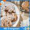 Funny Dinosaur and Fossil Cookie