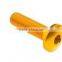 OEM Customize Socket Head Cap Thread M3 Aluminum Anodized Screw and Bolt Manufacturer