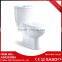 Wholesale Market Made In China Ceramic Luxury Toilet With Water Jet