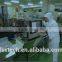 X-ray foreign matter detector for food