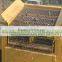 Competitive price / high quality mining screen mesh !!!