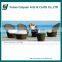 2015 Foshan Furniture Morden Furniture Outdoor Rattan Furniture