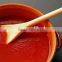Tomato Paste with best price for sale