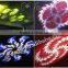 2015 New Product 1200W LED Spot Moving Head Robe Stage Light