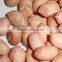 Wholesale Peanuts