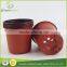 plant pot for flower growing