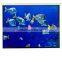 new design 3d projector screens / holographic portable rear projection with folding screen