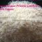 1121 Basmati rice White and golden color