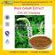GMP Factory Supply Natural Black Cohosh Extract Powder