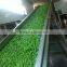 Chinese Grade A quality best sale market price iqf Edamame