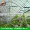 Hot sale complete hydroponics plastic film greenhouse
