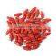 2015 hotsaled Automatic water drinker for chicken farm