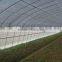 HDPE insect proof net / greenhouse plastic anti insect net