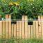 FD - 158172 dwarf bamboo fence in the park