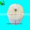 2mm 3mm 4mm nylon polyethylene poly twine ropes