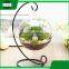 home goods decorative hanging slanted clear round glass decoration bonsai vase with metal stand