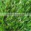 2017 most popular decorative turf artificial grass