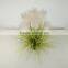 Fake Reed Grass Artificial Grass Bonsai